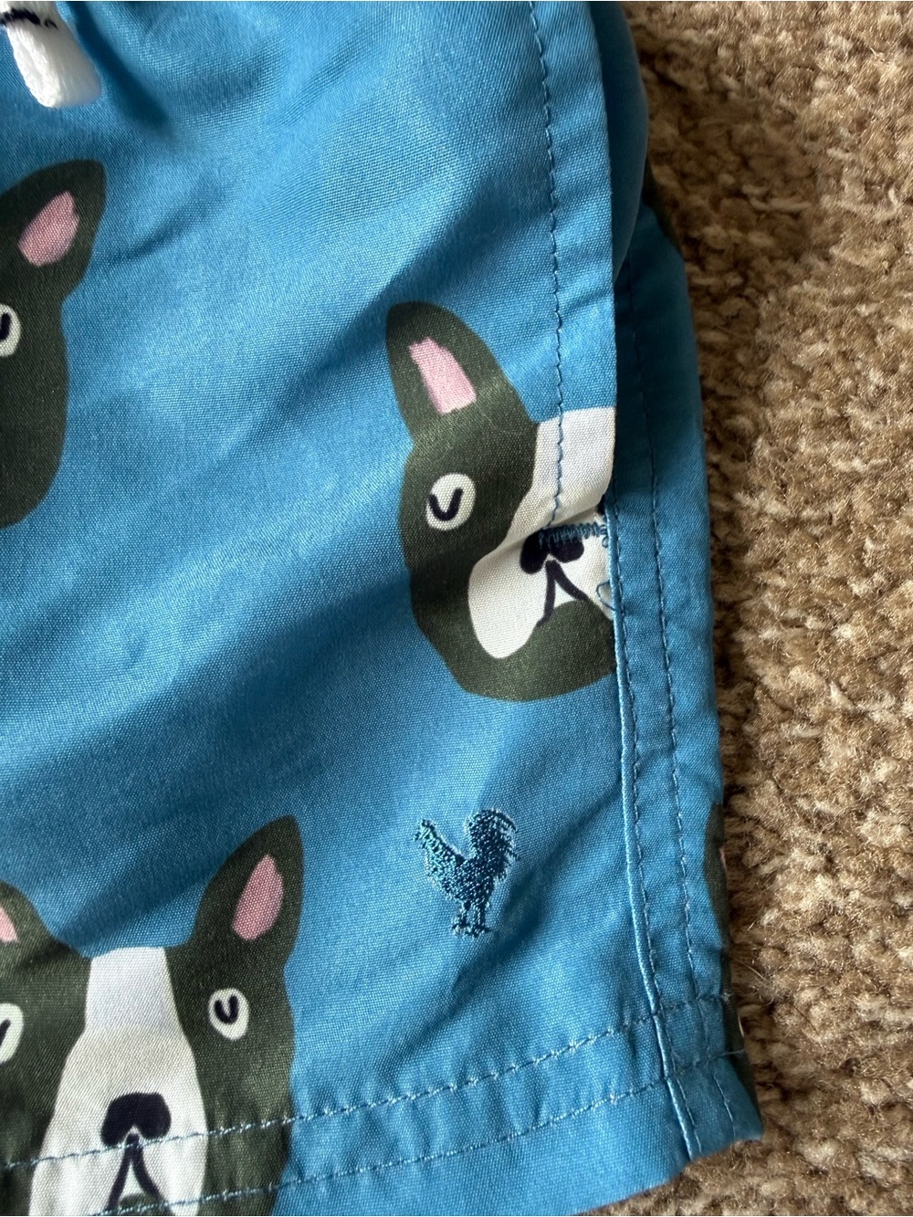 Blue Rooster Boys Swim Trunks - Picture 2 of 6